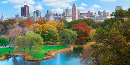 New York City blooms in the autumn