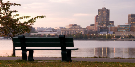 Boston is a thriving metropolis, rich with culture and hidden beauty