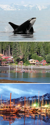 From orca to a pristine marina - Alaskan sights 