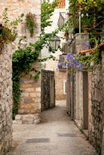 Stroll the cobbled streets of Budva