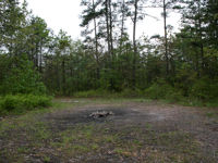 Scientists have been unable to explain the barren clearing