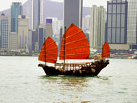 Hong Kong is a buzzing place