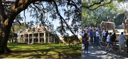 Houmas House Plantation and Audubon Zoo