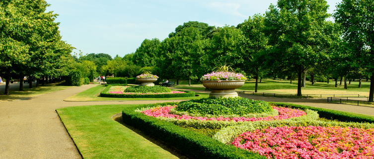 Romance in Regents Park