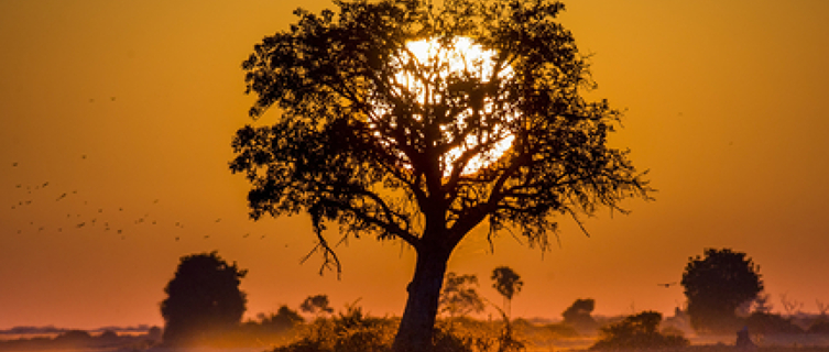 The majesty of Zambia's National Parks