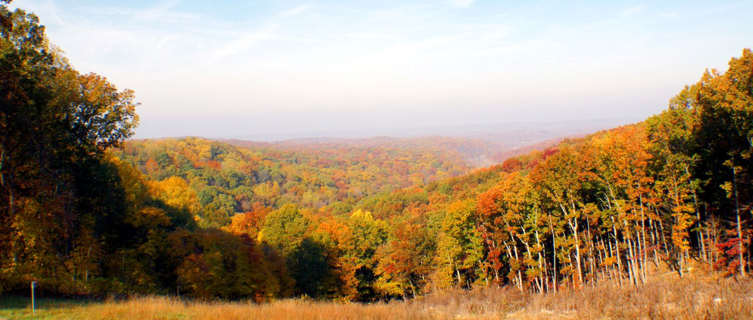 Indiana state forest