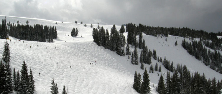 Look Ma' run in Vail ski resort