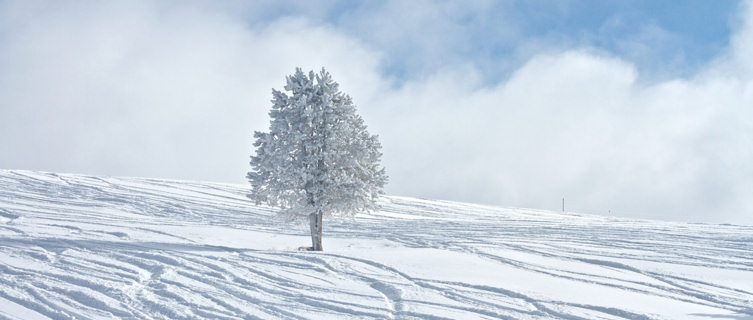 Powder day at Vail ski resort