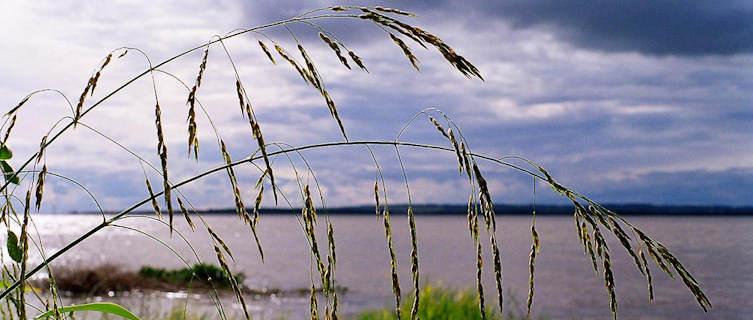 Rio Parana in Paraguay